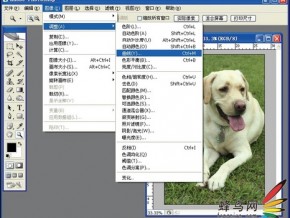 新手攻略之宠物摄影实战(下)