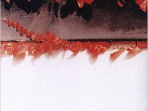 摄影基础之文学篇